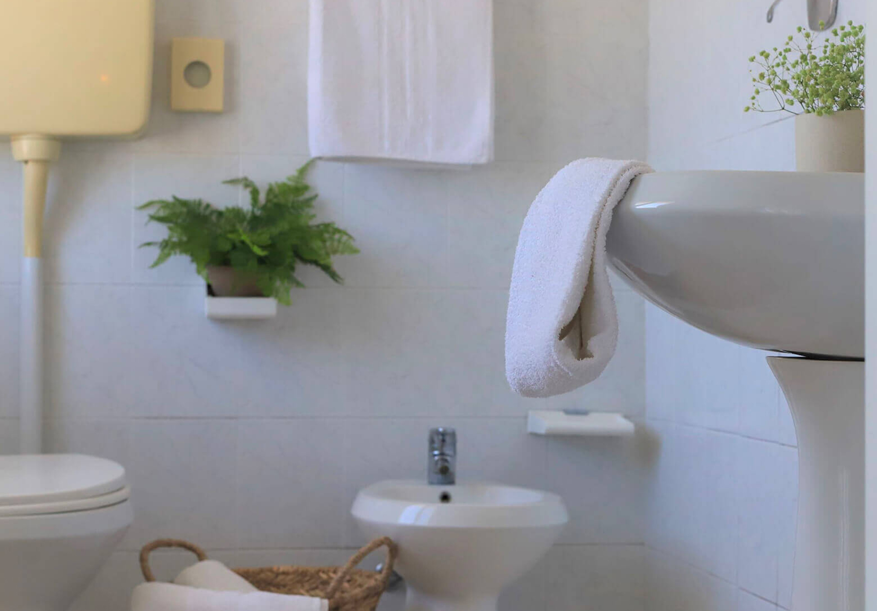 Hotel Europa San Mauro Mare